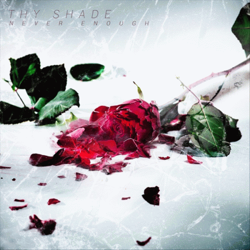 Thy Shade : Never Enough